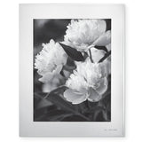 Darling Point 8 x 10 Frame